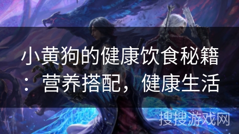 小黄狗的健康饮食秘籍:营养搭配,健康生活 小黄狗的健康饮食秘籍:营养搭配,健康生活