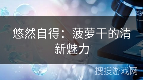 悠然自得：菠萝干的清新魅力