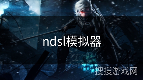 ndsl模拟器 ndsl模拟器