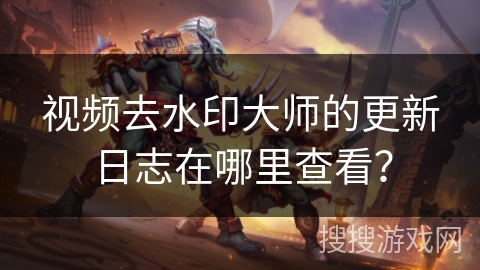 视频去水印大师的更新日志在哪里查看？