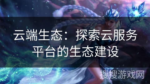 云端生态：探索云服务平台的生态建设