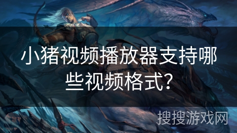 小猪视频播放器支持哪些视频格式？