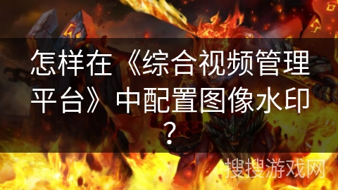 怎样在《综合视频管理平台》中配置图像水印？