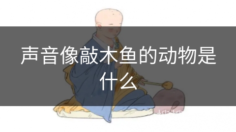声音像敲木鱼的动物是什么