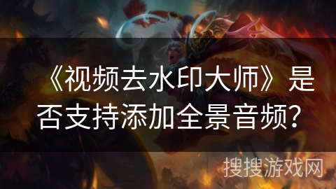 《视频去水印大师》是否支持添加全景音频？