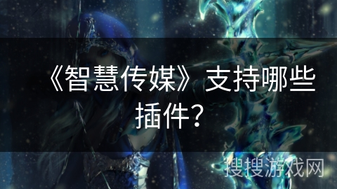 《智慧传媒》支持哪些插件? 《智慧传媒》支持哪些插件?