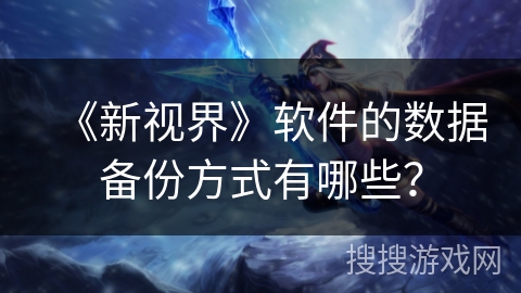 《新视界》软件的数据备份方式有哪些？