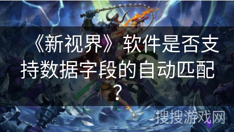 《新视界》软件是否支持数据字段的自动匹配？