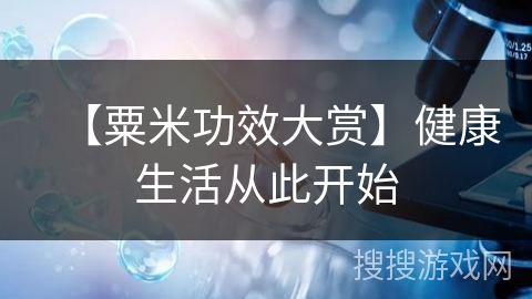 【粟米功效大赏】健康生活从此开始 【粟米功效大赏】健康生活从此开始