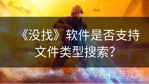 《没找》软件是否支持文件类型搜索? 《没找》软件是否支持文件类型搜索?