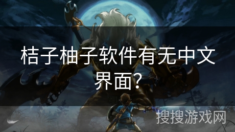 桔子柚子软件有无中文界面？