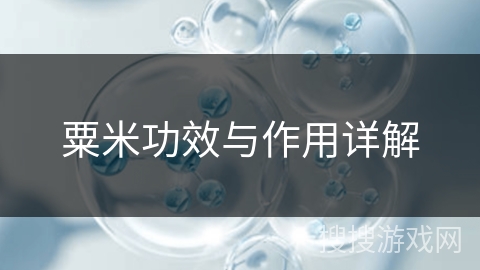 粟米功效与作用详解