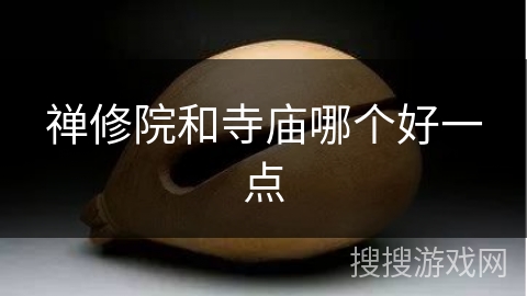 禅修院和寺庙哪个好一点 禅修院和寺庙哪个好一点