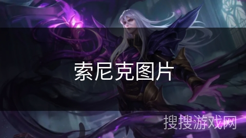 索尼克图片 索尼克图片