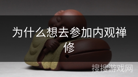 为什么想去参加内观禅修 为什么想去参加内观禅修