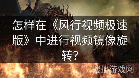 怎样在《风行视频极速版》中进行视频镜像旋转? 怎样在《风行视频极速版》中进行视频镜像旋转?