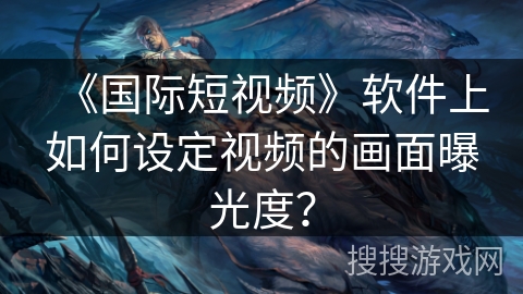 《国际短视频》软件上如何设定视频的画面曝光度？