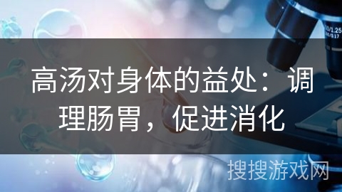 高汤对身体的益处:调理肠胃,促进消化