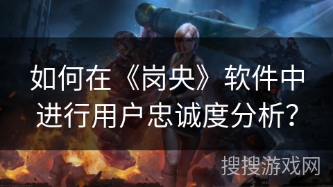 如何在《岗央》软件中进行用户忠诚度分析？