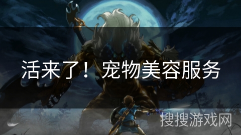 活来了!宠物美容服务 活来了!宠物美容服务