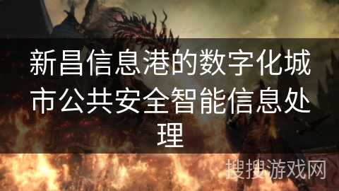 新昌信息港的数字化城市公共安全智能信息处理 新昌信息港的数字化城市公共安全智能信息处理