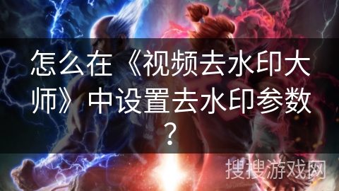 怎么在《视频去水印大师》中设置去水印参数？