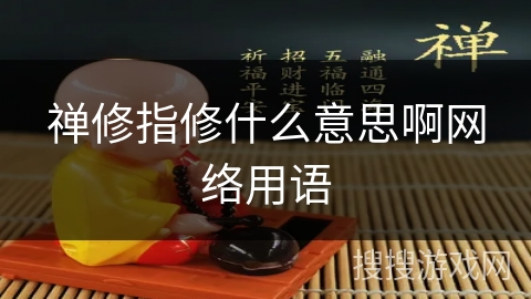 禅修指修什么意思啊网络用语
