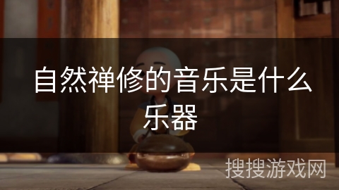 自然禅修的音乐是什么乐器