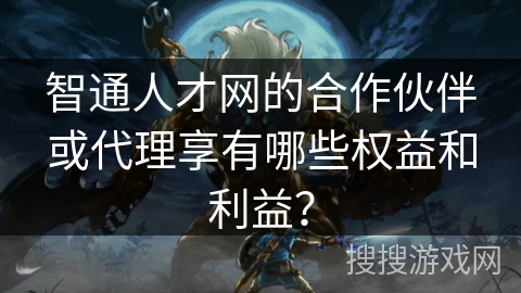 智通人才网的合作伙伴或代理享有哪些权益和利益？
