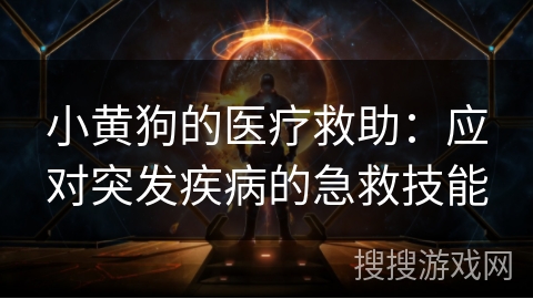 小黄狗的医疗救助:应对突发疾病的急救技能 小黄狗的医疗救助:应对突发疾病的急救技能