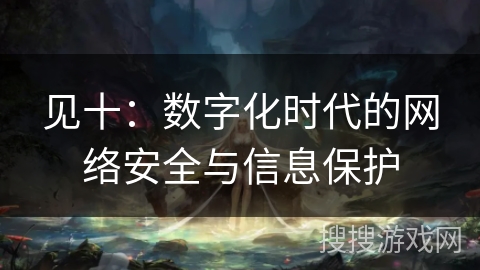 见十:数字化时代的网络安全与信息保护 见十:数字化时代的网络安全与信息保护
