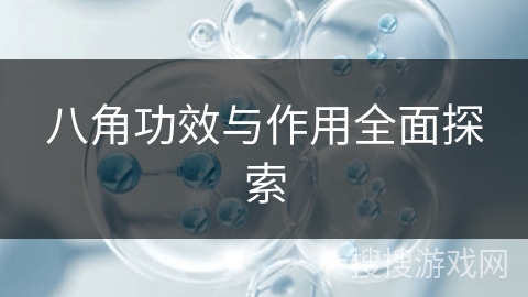 八角功效与作用全面探索