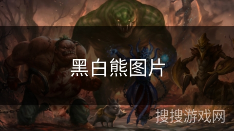 黑白熊图片
