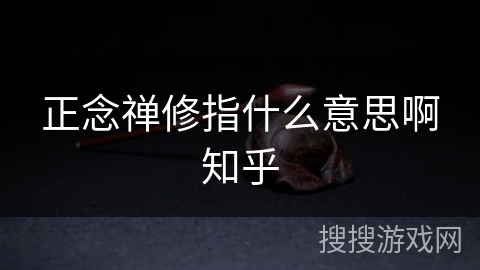 正念禅修指什么意思啊知乎