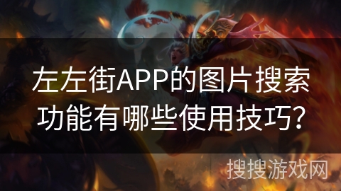 左左街APP的图片搜索功能有哪些使用技巧? 左左街APP的图片搜索功能有哪些使用技巧?