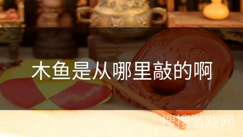 木鱼是从哪里敲的啊 木鱼是从哪里敲的啊