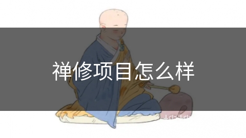 禅修项目怎么样