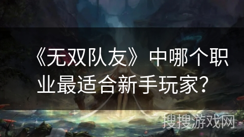《无双队友》中哪个职业最适合新手玩家？