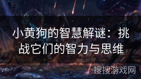小黄狗的智慧解谜:挑战它们的智力与思维 小黄狗的智慧解谜:挑战它们的智力与思维