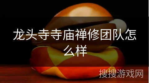 龙头寺寺庙禅修团队怎么样
