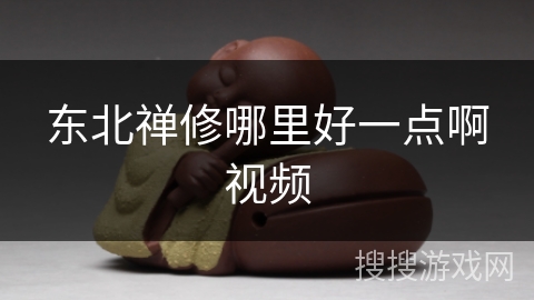 东北禅修哪里好一点啊视频