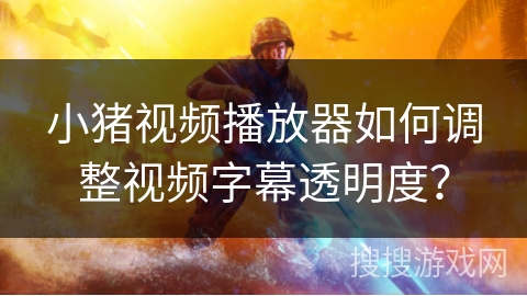 小猪视频播放器如何调整视频字幕透明度？