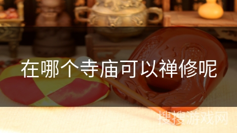 在哪个寺庙可以禅修呢