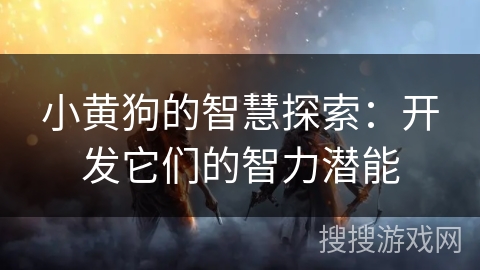 小黄狗的智慧探索:开发它们的智力潜能 小黄狗的智慧探索:开发它们的智力潜能