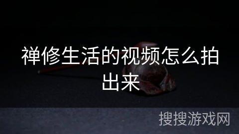 禅修生活的视频怎么拍出来 禅修生活的视频怎么拍出来