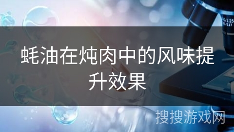 蚝油在炖肉中的风味提升效果