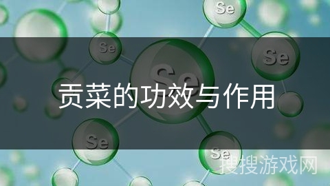 贡菜的功效与作用