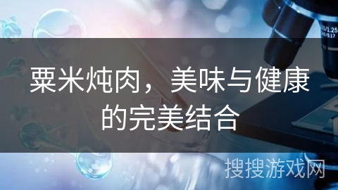 粟米炖肉,美味与健康的完美结合