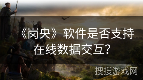 《岗央》软件是否支持在线数据交互? 《岗央》软件是否支持在线数据交互?