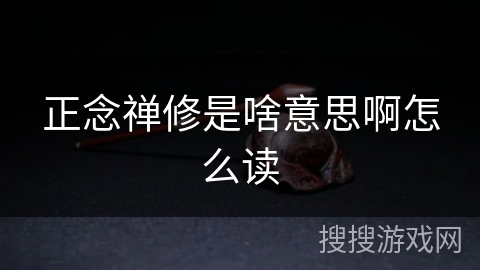 正念禅修是啥意思啊怎么读 正念禅修是啥意思啊怎么读
